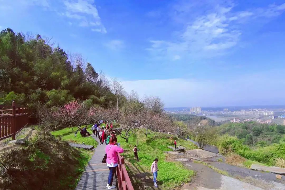 天氣晴好花期正盛吸引許多市民游客到寧鄉(xiāng)踏青賞花均為寧鄉(xiāng)文旅廣體局供圖